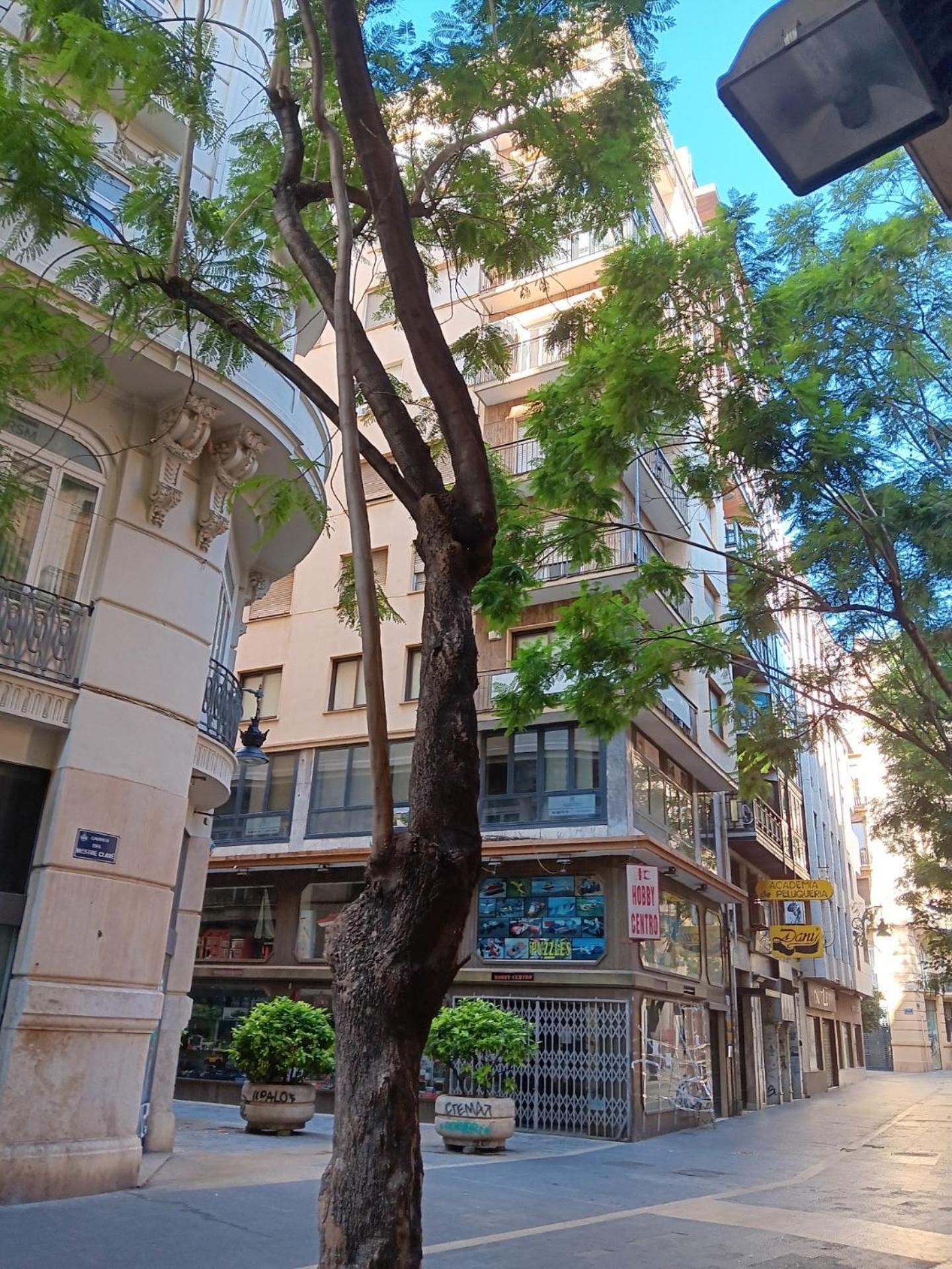 Apartamento Familiar Centro Historico Plaza Ayuntamiento "Ciutat Vella" Βαλένθια Εξωτερικό φωτογραφία